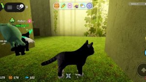 как получить всех цветных котят камушек в игре с котятами? все объяснила:D