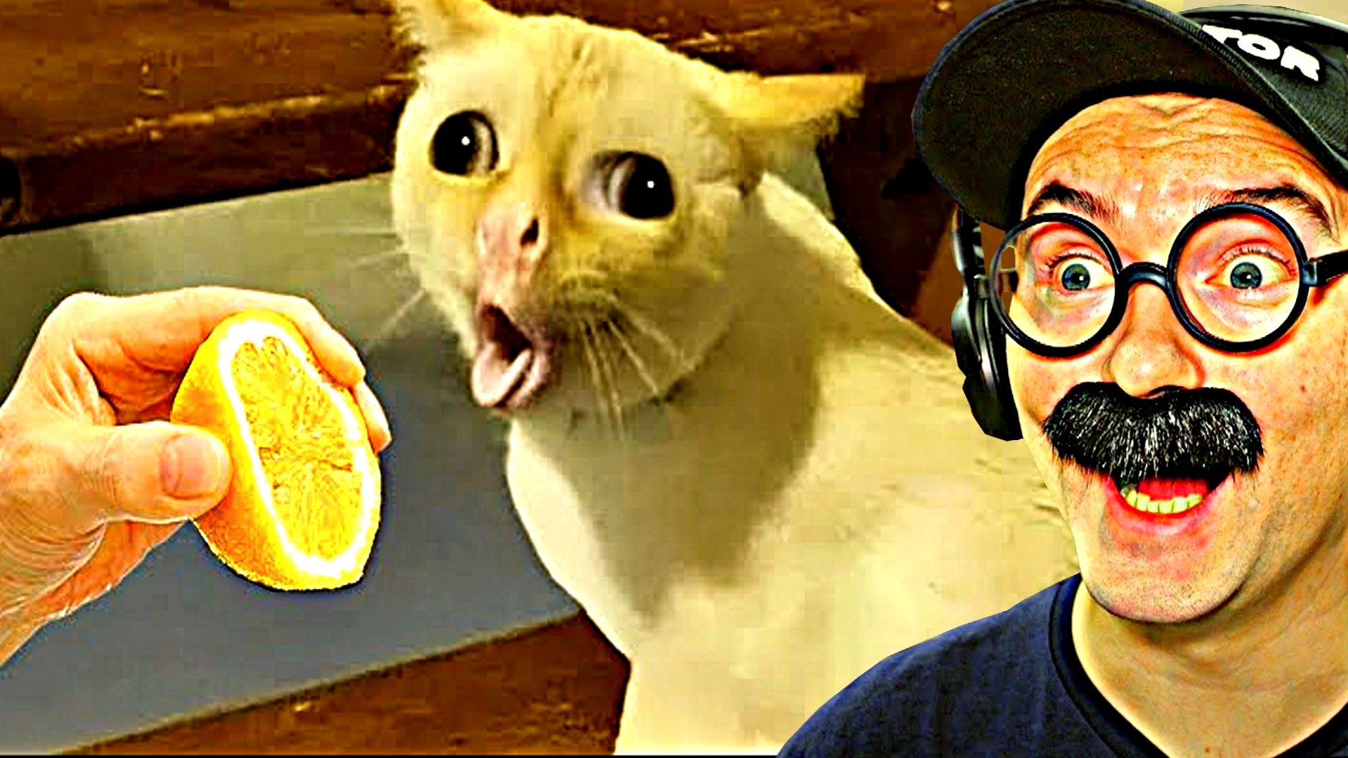 100 САМЫХ СМЕШНЫХ ВИДЕО (7 Выпуск)