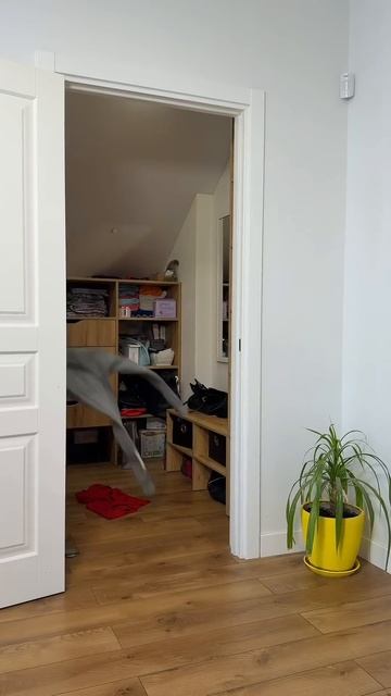 He’s the real hero during her period. Funny family #funnyvideo #couple #comedy #humor (1)