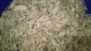 23.9.2016г. АРХИВ.  Кормить🐓🐓🐓 КУР Слизняками нельзя!!! Защита КУРОЧЕК от Глистов