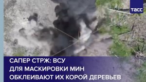 Сапер Стрж: ВСУ для маскировки мин обклеивают их корой деревьев