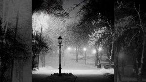 В.Н. Моисеев. Зажгу камин.