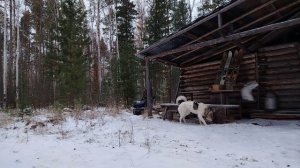 Пятый день охоты 16.10.25 г.