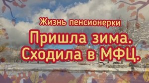 Жизнь пенсионерки.Пришла зима.Сходила в МФЦ