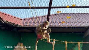 Лида сидит одна, Люся притулилась к Елисею! У Люси любимое место на лесенке. Ой, напугали Шурика!