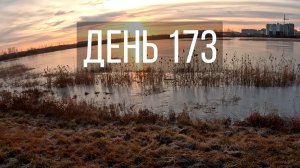 День 173