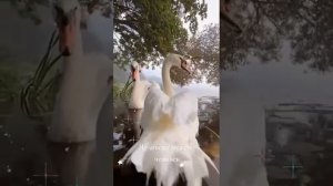 Человеку нужен человек...