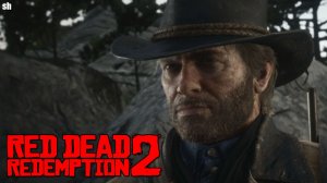 Red Dead Redemption 2►Прохождение без комментариев.#6