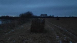 НИВА, конь ночной