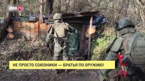 Не союзники – братья!