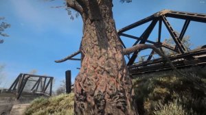 Anomaly Custom - Обновленные текстуры