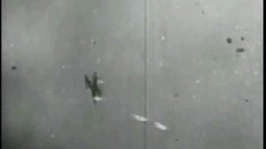 Natalie Cardone - Hasta siempre comandante (El Che)