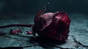 Любовь и ревность: Горькое вино