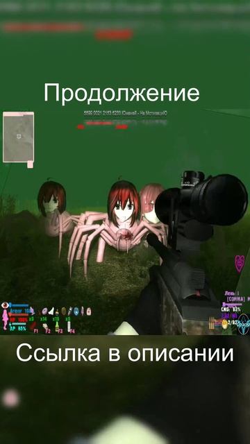 S.T.A.L.K.E.R. Закон Шляпки