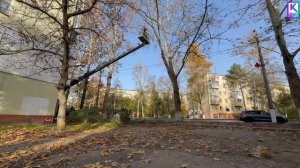 Комплексные работы по уходу за зелёными насаждениями регулярно проводят в Керчи