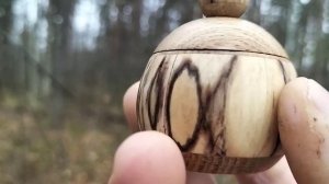 Шкатулка в ноябрьском лесу на дубе