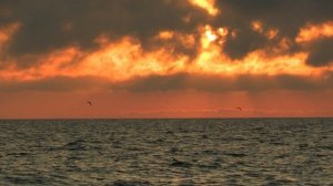 Закат в ноябре.