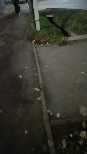 Таможенный Союз .mp4