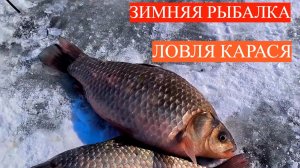 ЗИМНЯЯ РЫБАЛКА НА КАРАСЯ! ПЕРВЫЙ ЛЁД. ЛОВЛЯ КАРАСЯ НА МОРМЫШКУ. ЖОР КАРАСЯ ЗИМОЙ.