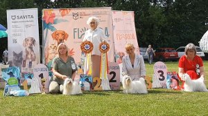 26.07.2025, СПб. Клуб "Аскона" (РКФ, РФЛС). Монопородная выставка МАЛЬТЕЗЕ