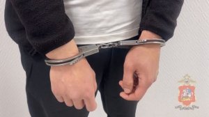 Подмосковные полицейские задержали троих мужчин, которые напали на иностранцев