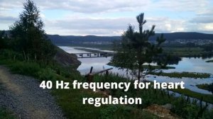 Регуляция Деятельности Сердца Частотой Райфа 40 Гц