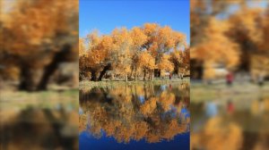 Золотая осень