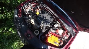 Коротыш в логане, который не могут найти всей деревней