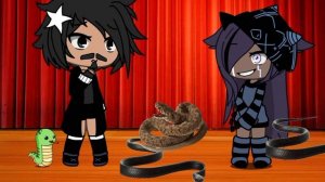 змейки🪱🐍🐛🐉