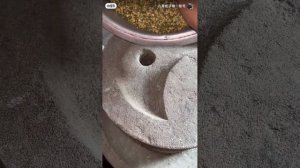 «Бяози» — Серия 1 / Asia By Sun