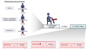 Переписывая правила тренировок - интермиттирующая ишемия/реперфузия