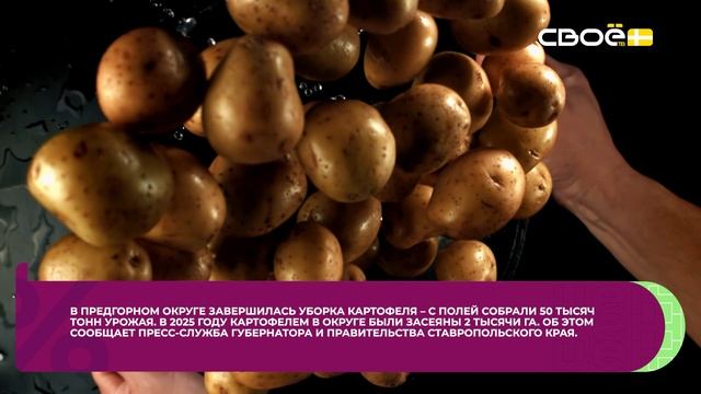 Сценарий цен. Картофель