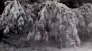 Сложная обстановка на трассе М5 в сторону Челябинска