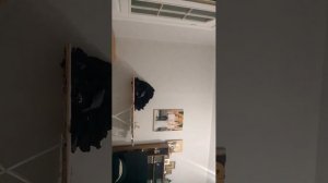 возвращение