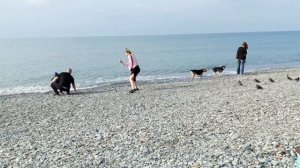 Во что превратился курорт Сочи к концу 2025 года: пляжи "Ривьера", Крестный Ход, ривьерский розарий