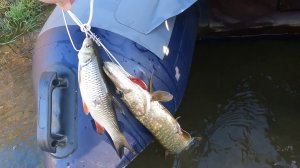 Подводная охота 18 Ноября. 2025 г.