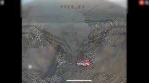 ⚡Сводка Минобороны РФ 19.11.25
💥ПгВ «Север» нанесено поражение формированиям трех...🔽🔽🔽