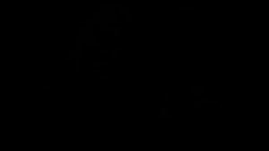 Дом безумного скрипача