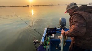 Ловлю судаков с глубины на паноптикс , продолжение