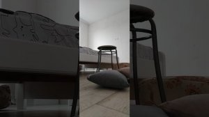 1000₽ VS 100₽ шалаш