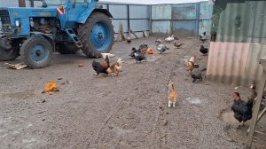 Отвечаю на комментарий о дворе.