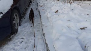 На улице хорошо.