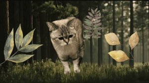 My cat Liya 🍃🐾