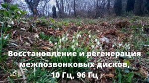 Восстановление и Регенерация Межпозвонковых Дисков*Частоты Райфа 10 и 96 Гц