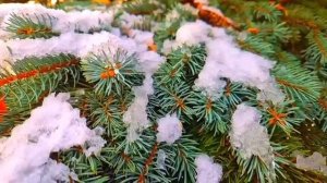 Получив на телефон фото любовницы мужа, она не поверила, но позже...