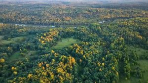 Летний вечер