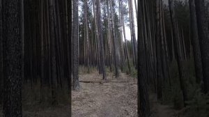 Морозный день 18 ноя. 2025
Наедине с природой