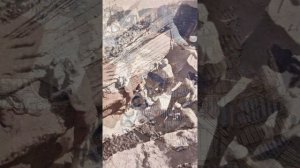 Таджикистан. Душанбе. Национальный музей древностей. Спящая Будда.