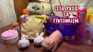 Басик ухаживает за реборн-свинкой 💖 Спа-день для свинки! | Уютный уход, расчёсывание, расслабление