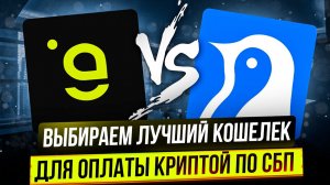 ВЫБИРАЕМ КОШЕЛЁК ДЛЯ ОПЛАТЫ КРИПТОЙ ПО СБП | ANTARCTIC VS GARDA WALLET | КТО ЛУЧШЕ И ВЫГОДНЕЙ?